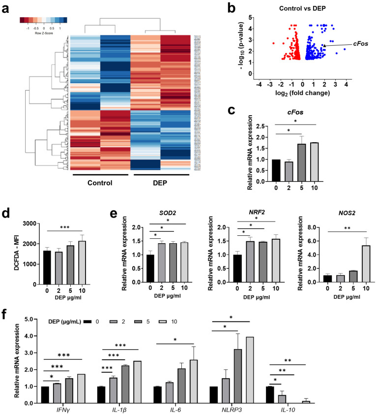 Diesel Exhaust Particles Impair Therapeutic Effect of Human Wharton's Jelly-Derived Mesenchymal Stem Cells against Experimental Colitis through ROS/ERK/cFos Signaling Pathway.