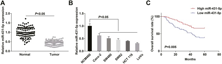 The role of human umbilical cord mesenchymal stem cells-derived exosomal microRNA-431-5p in survival and prognosis of colorectal cancer patients.