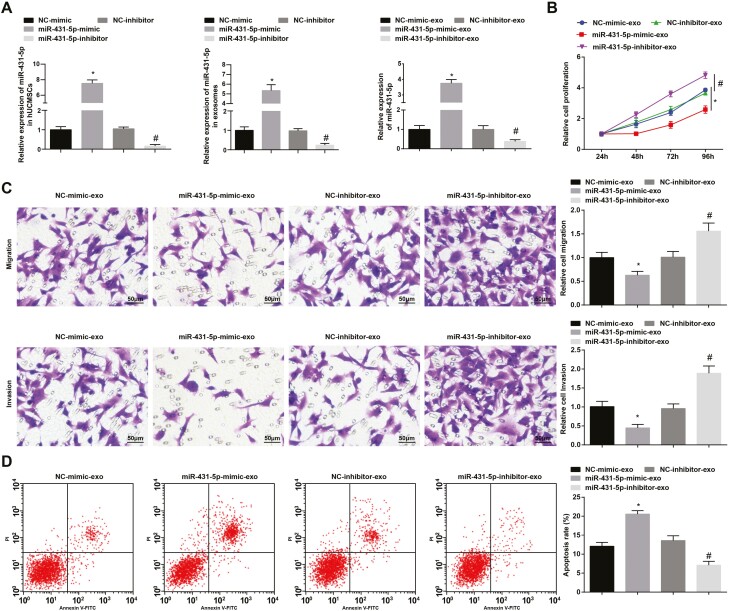 The role of human umbilical cord mesenchymal stem cells-derived exosomal microRNA-431-5p in survival and prognosis of colorectal cancer patients.