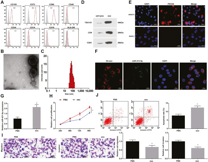 The role of human umbilical cord mesenchymal stem cells-derived exosomal microRNA-431-5p in survival and prognosis of colorectal cancer patients.