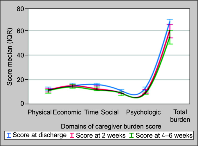 Home Care of Tracheostomized Chronically Critically Ill Patients: A Study of Caregivers' Burden and Comparison with the Burden of Palliative Care Patients in India.