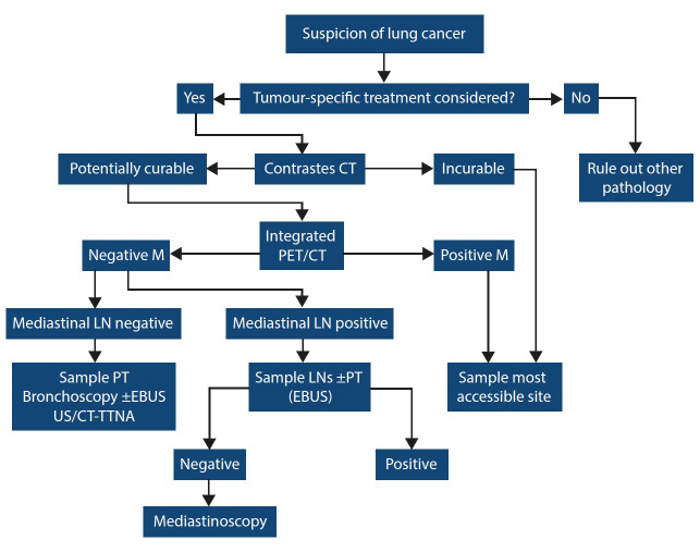 Staging and operability of primary lung cancer in Western Cape Province, South Africa.