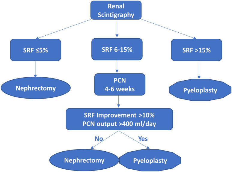 Percutaneous nephrostomy in Ureteropelvic junction obstruction with poorly functioning kidney: Is it still pertinent in adults?