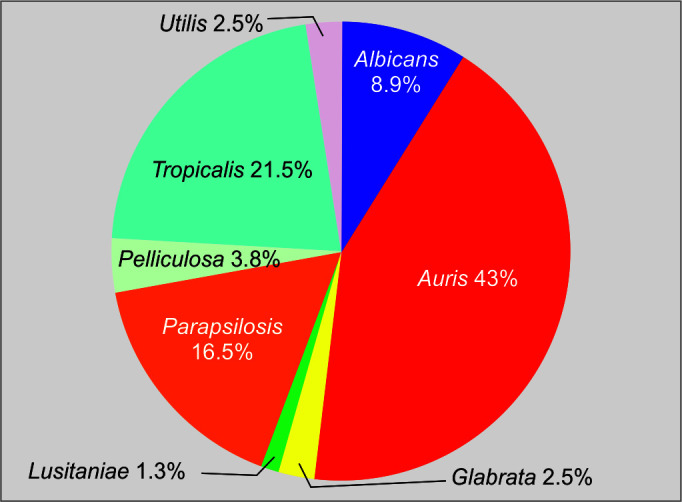 The Dominance of <i>Candida auris</i>: A Single-center Experience of 79 Episodes of Candidemia from Western India.