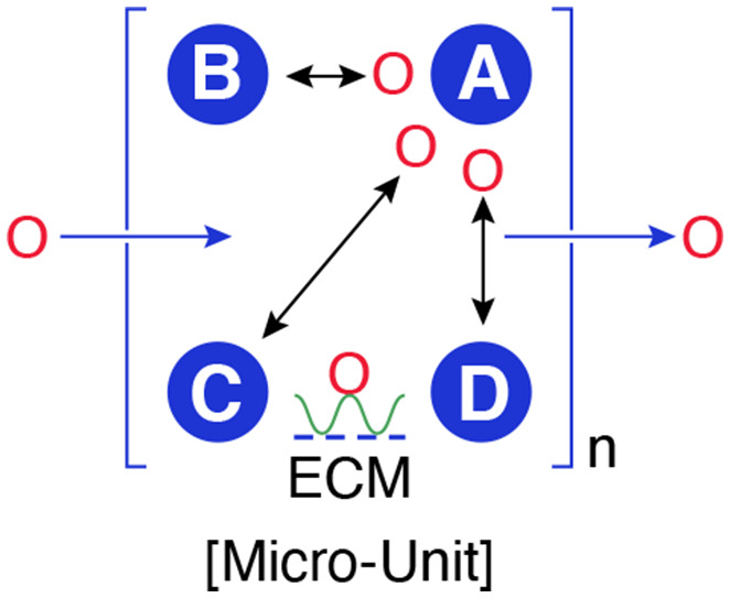 The microenvironment-a general hypothesis on the homeostatic function of extracellular vesicles.