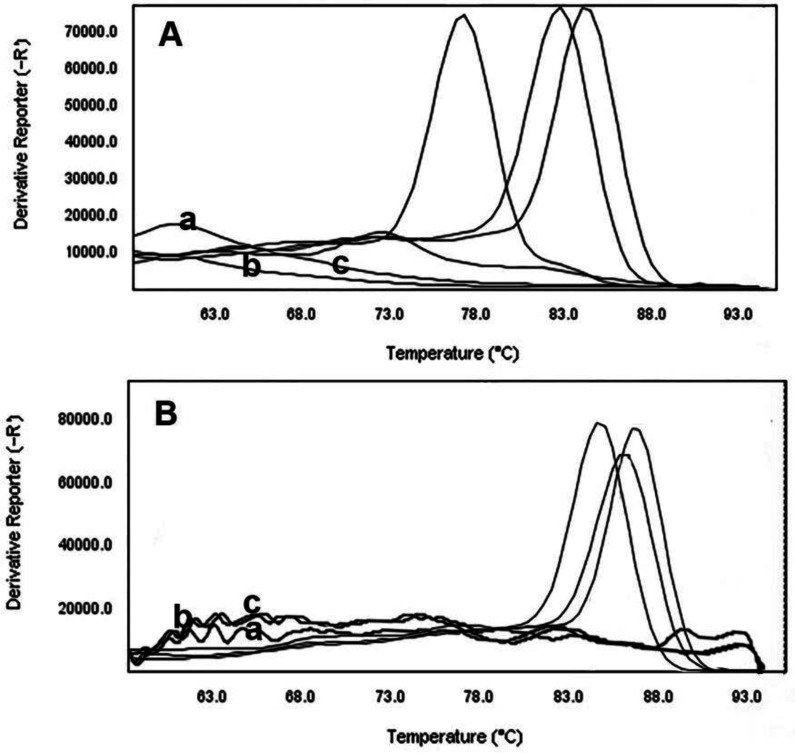 Optimization and development of high-resolution melting curve analysis (HRMA) assay for detection of New Delhi metallo-β-lactamase (NDM) producing <i>Pseudomonas aeruginosa</i>.