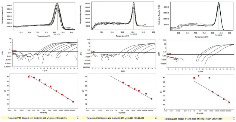 Optimization and development of high-resolution melting curve analysis (HRMA) assay for detection of New Delhi metallo-β-lactamase (NDM) producing <i>Pseudomonas aeruginosa</i>.