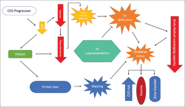 Potential Benefits of Selenium Supplementation in Patients with Kidney Disease.