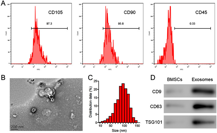 Pharmaceutical Activation of Nrf2 Accelerates Diabetic Wound Healing by Exosomes from Bone Marrow Mesenchymal Stem Cells.