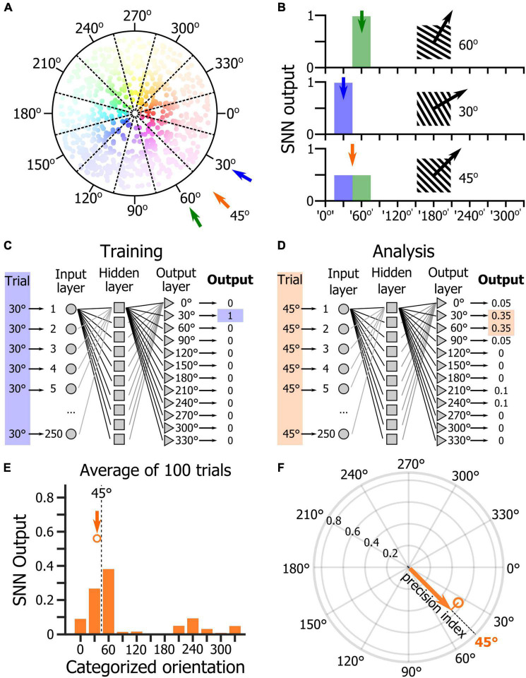 Estimating How Sounds Modulate Orientation Representation in the Primary Visual Cortex Using Shallow Neural Networks.