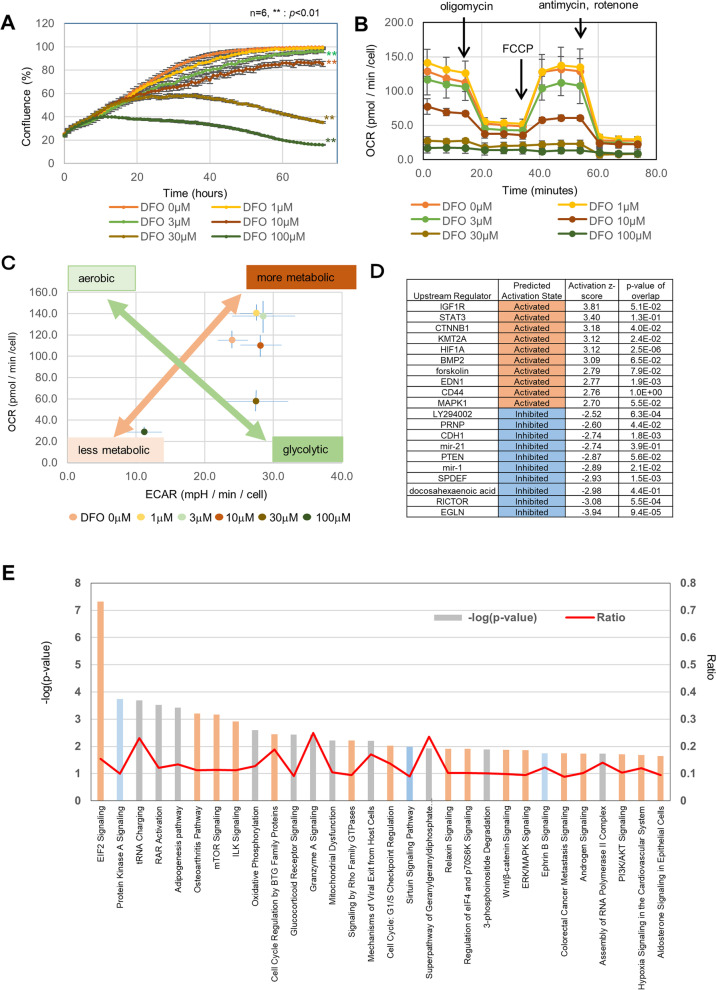 An iron chelation-based combinatorial anticancer therapy comprising deferoxamine and a lactate excretion inhibitor inhibits the proliferation of cancer cells.