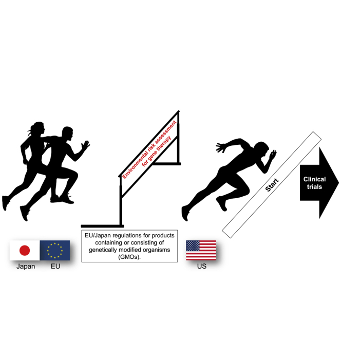 Impact of genetically modified organism requirements on gene therapy development in the EU, Japan, and the US.
