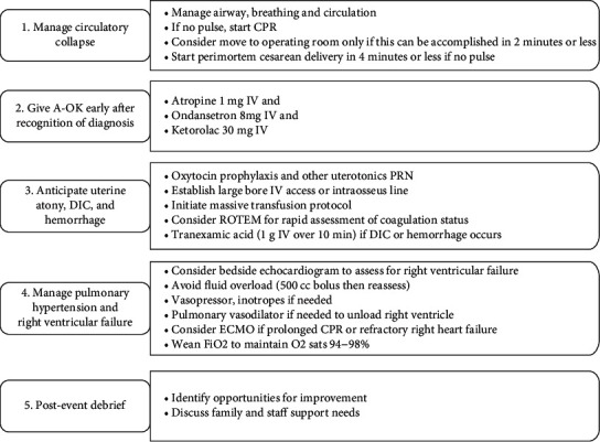 Rotational Thromboelastometry-Guided Venoarterial Extracorporeal Membrane Oxygenation in the Treatment of Amniotic Fluid Embolism.