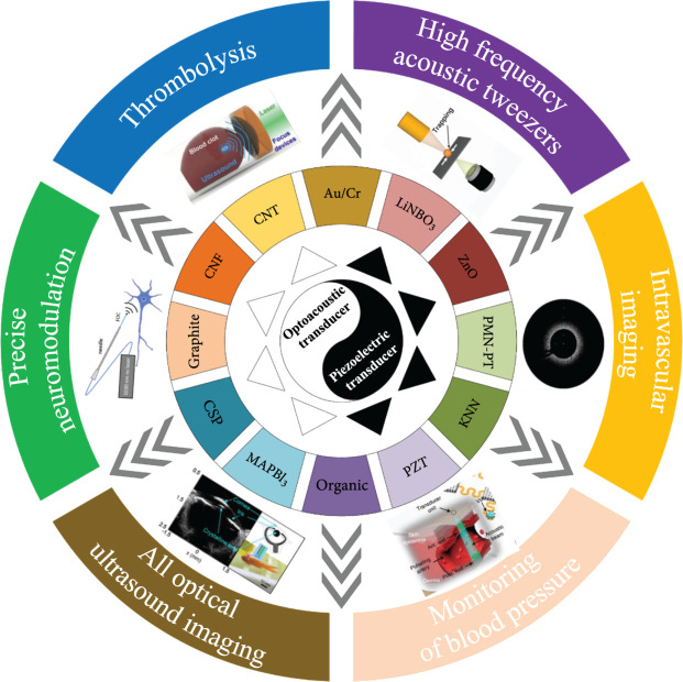 Recent Advancements in Ultrasound Transducer: From Material Strategies to Biomedical Applications.