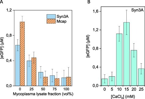 Traditional protocols and optimization methods lead to absent expression in a mycoplasma cell-free gene expression platform.