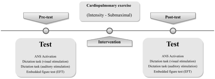 Changes in Keyboard Typing Accuracy and Spatial Perception after Cardiovascular Fitness Exercise.