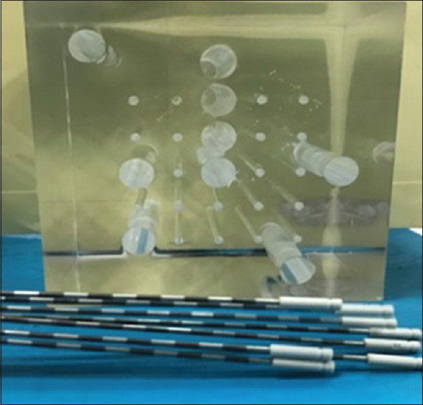 The Design of an Audit Test for <sup>60</sup>Co Brachytherapy Treatment Planning System.