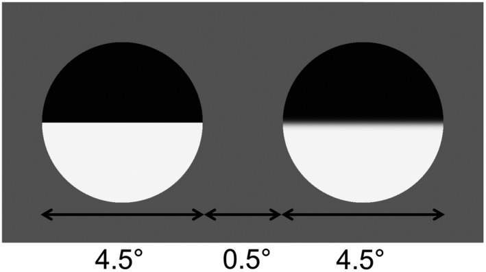 Effects of glaucoma on detection and discrimination of image blur.