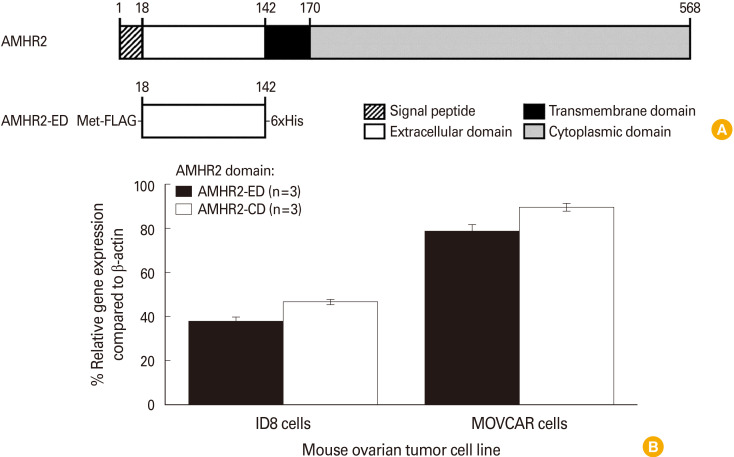 Formulation of an ovarian cancer vaccine with the squalene-based AddaVax adjuvant inhibits the growth of murine epithelial ovarian carcinomas.