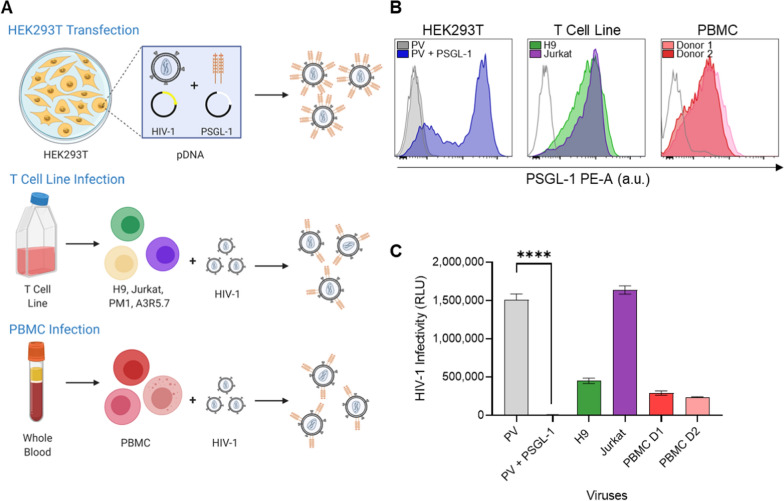 P-selectin glycoprotein ligand-1 (PSGL-1/CD162) is incorporated into clinical HIV-1 isolates and can mediate virus capture and subsequent transfer to permissive cells.