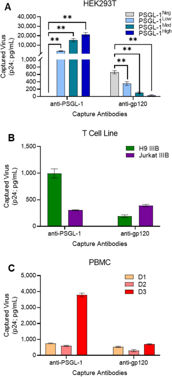 P-selectin glycoprotein ligand-1 (PSGL-1/CD162) is incorporated into clinical HIV-1 isolates and can mediate virus capture and subsequent transfer to permissive cells.