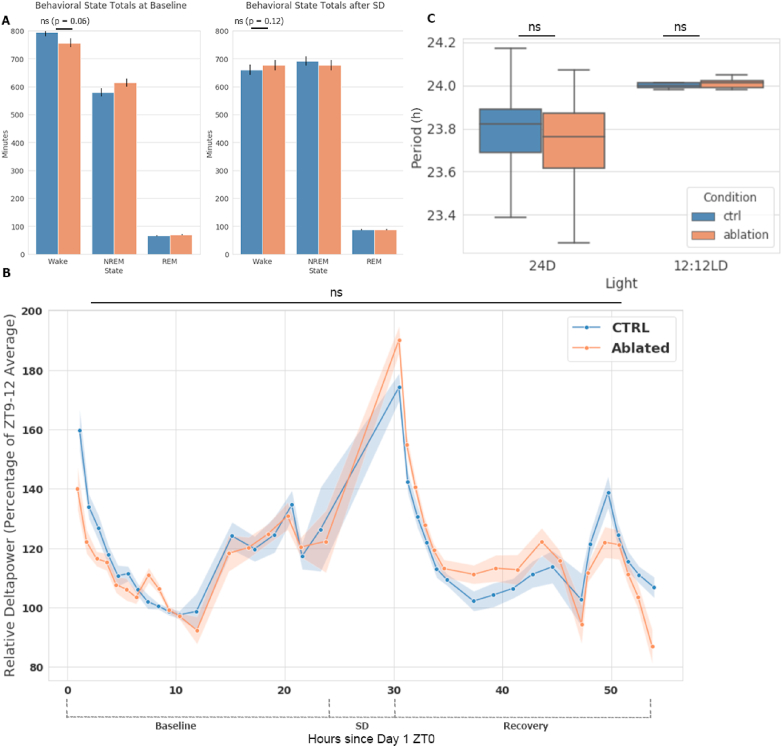 Microglia are involved in the protection of memories formed during sleep deprivation