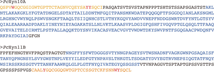 Acetylated Xylan Degradation by Glycoside Hydrolase Family 10 and 11 Xylanases from the White-rot Fungus <i>Phanerochaete chrysosporium</i>.