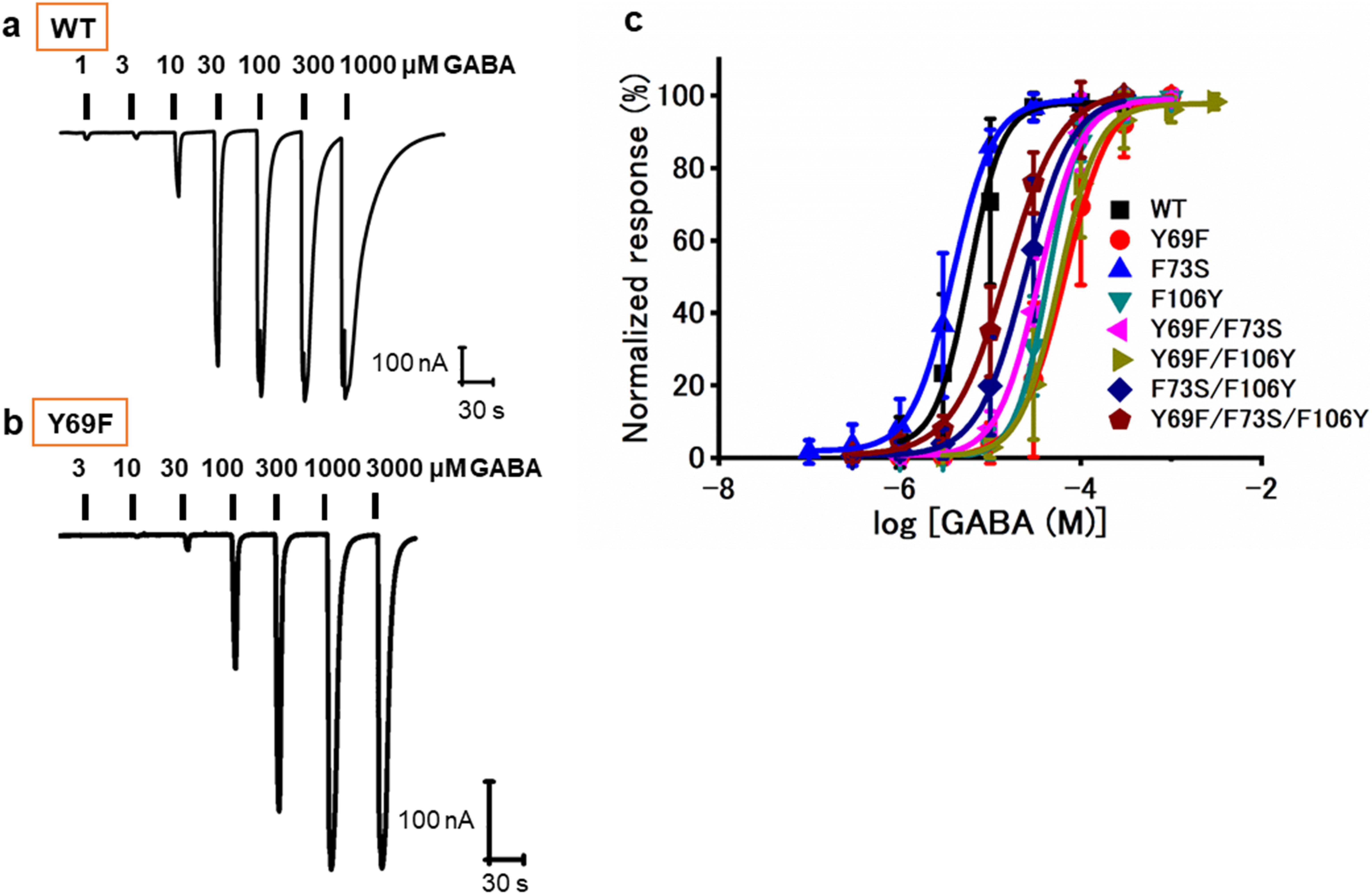 Structural insights into the interaction between gabazine (SR-95531) and <i>Laodelphax striatellus</i> GABA receptors.