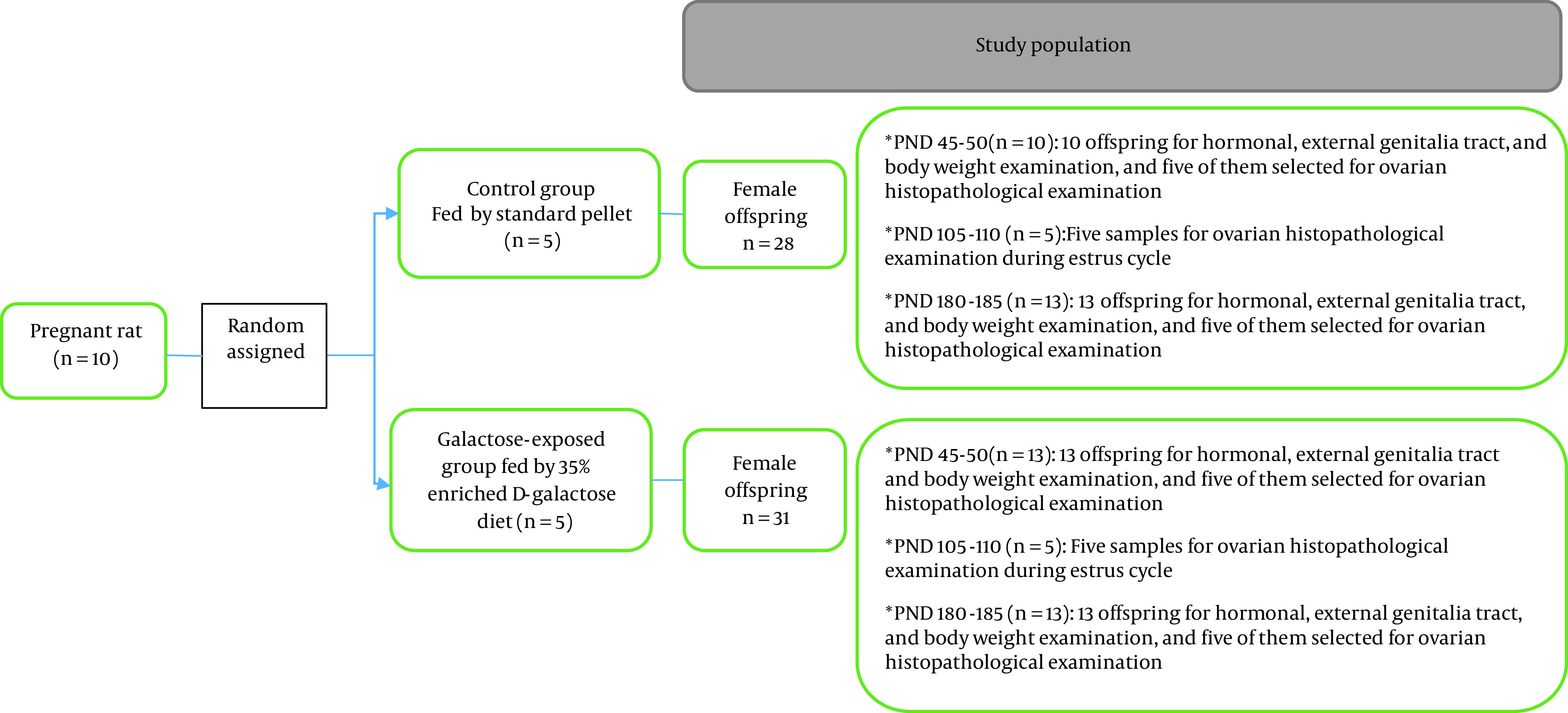 Maternal Exposure to D-galactose Reduces Ovarian Reserve in Female Rat Offspring Later in Life.