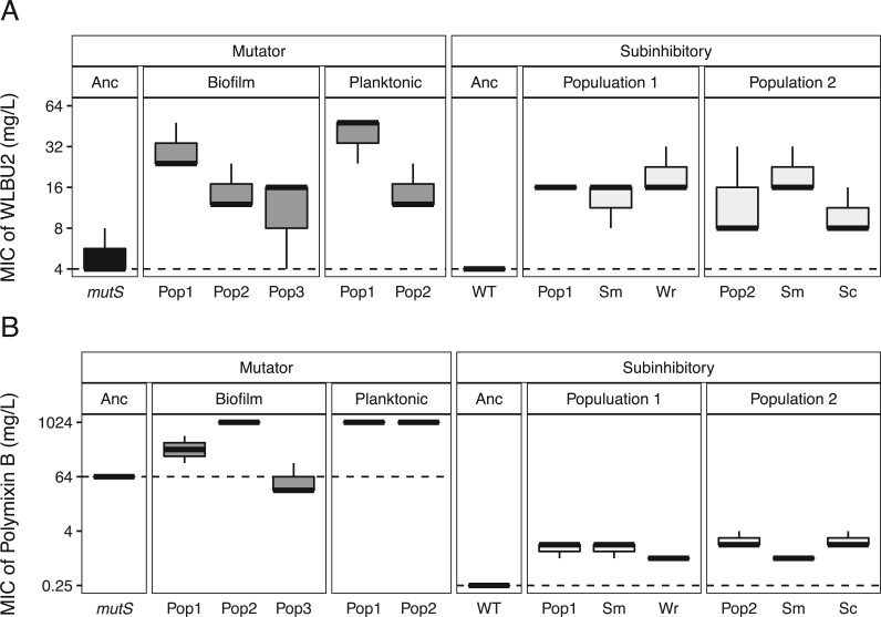 Evolved resistance to a novel cationic peptide antibiotic requires high mutation supply.