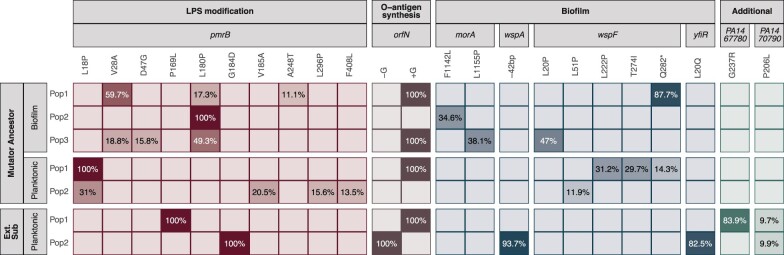 Evolved resistance to a novel cationic peptide antibiotic requires high mutation supply.