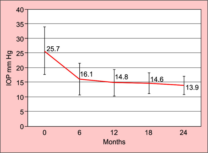 Two-year Outcomes of XEN Implantation with Minimal Bleb Needling.