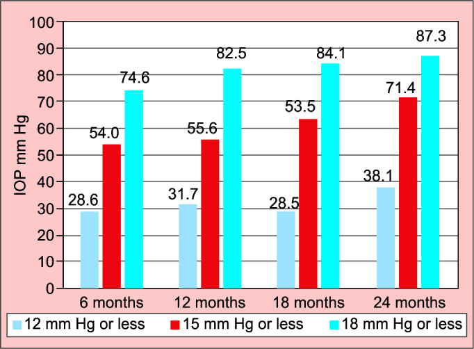 Two-year Outcomes of XEN Implantation with Minimal Bleb Needling.