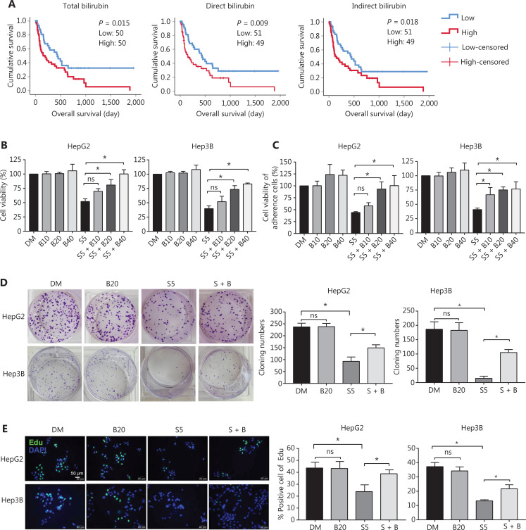 Bilirubin inhibits the anticancer activity of sorafenib by blocking MCL-1 degradation in hepatocellular carcinoma cells.