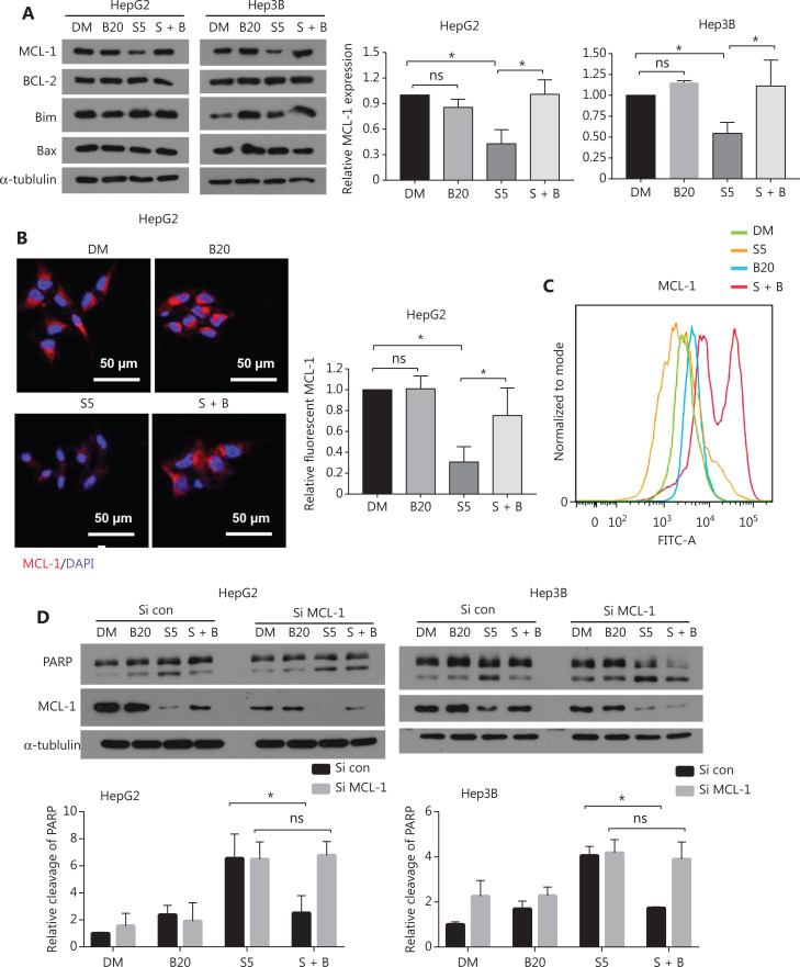 Bilirubin inhibits the anticancer activity of sorafenib by blocking MCL-1 degradation in hepatocellular carcinoma cells.