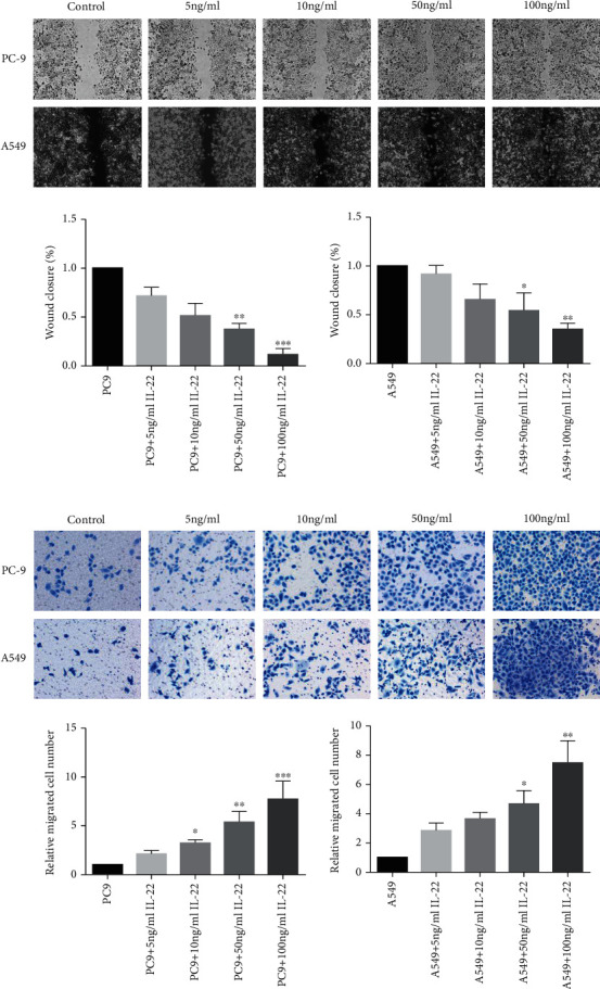 Th22 Cells/IL-22 Serves as a Protumor Regulator to Drive Poor Prognosis through the JAK-STAT3/MAPK/AKT Signaling Pathway in Non-Small-Cell Lung Cancer.