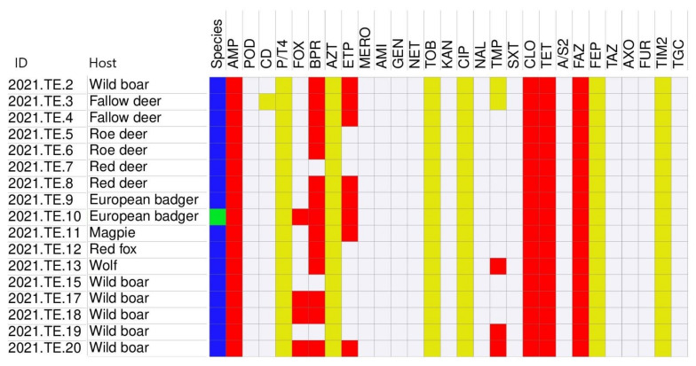 Phenotypic and Genetic Characterization of <i>Klebsiella pneumoniae</i> Isolates from Wild Animals in Central Italy.