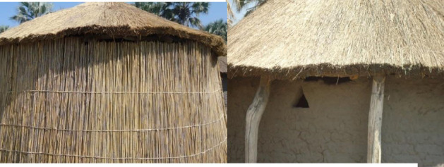 LOCAL KNOWLEDGE OF ADAPTIVE STRATEGIES AGAINST MALARIA ENDEMICITY IN THE OKAVANGO DELTA, BOTSWANA.