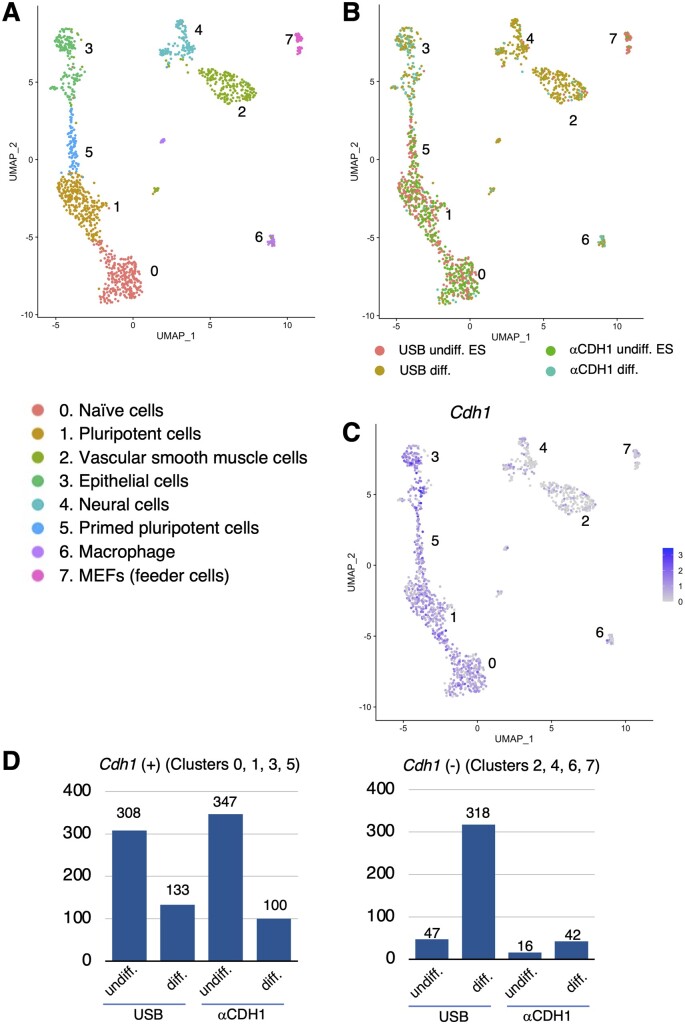 Universal Surface Biotinylation: a simple, versatile and cost-effective sample multiplexing method for single-cell RNA-seq analysis.