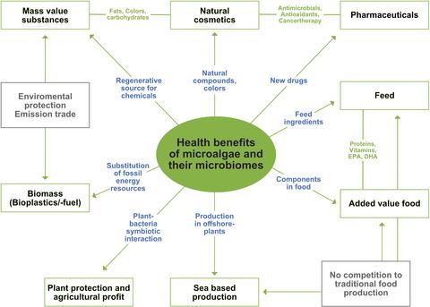 Health benefits of microalgae and their microbiomes