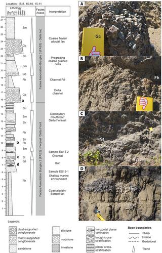 Neogene history of fluvial to shallow marine successions in the Kendari Basin, SE Sulawesi, Indonesia