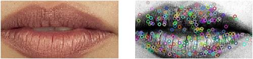 Lip print-based identification using traditional and deep learning