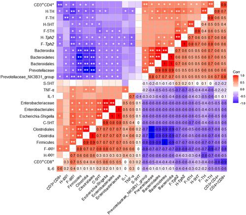 Correlation between intestinal microbiotal imbalance and 5-HT metabolism, immune inflammation in chronic unpredictable mild stress male rats