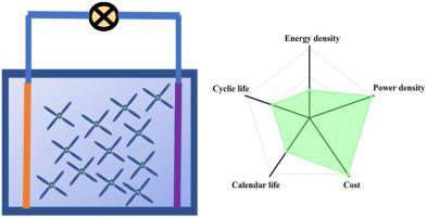 Key materials and future perspective for aqueous rechargeable lithium-ion batteries