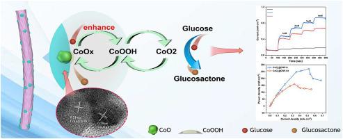 Cobalt valence modulating in CoOx incorporated carbon nanofiber for enhanced glucose electrooxidation