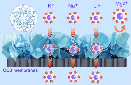 Highly Ion-Permselective Porous Organic Cage Membranes with Hierarchical Channels