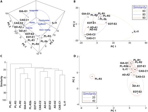 Insights on the biomineralisation processes and related diversity of cyanobacterial microflora in thermogenic travertine deposits in Greek hot springs (North-West Euboea Island)