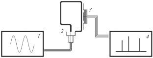 Study of the Brain Response to the MHz RF Signal