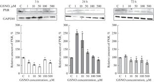 Pregnan X Receptor Functioning under Conditions of Nitrosative Stress