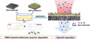 A prebiotic chemistry inspired one-step functionalization of zwitterionic nanofiltration membranes for efficient molecular separation